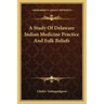 A Study Of Delaware Indian Medicine Practice And Folk Beliefs