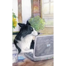 Keeping Track of: Passwords