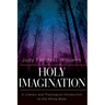 Holy Imagination: A Literary and Theological Introduction to the Whole Bible