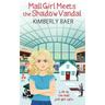 Mall Girl Meets the Shadow Vandal