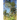 Poetic License: Reflections and Renderings