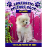 Fantastic Picture Book of Dogs. 40 Color Photos of Dogs: Picture Book Gift for Seniors/Adults & Alzheimer's/Dementia Patients.