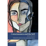 Consciousness and the Self: New Essays