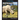 My Favorite Animal: Rhinoceros
