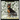 Miniature Pinscher: Reigning King of Toys