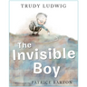 The Invisible Boy