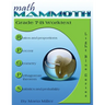 Math Mammoth Grade 7-B Worktext