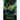 Ghost in the Cogs