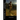 Far from the Madding Crowd: Illustrated