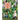 Super Magic Forest