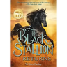 The Black Stallion Returns