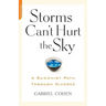 The Storms Can't Hurt the Sky: The Buddhist Path Through Divorce