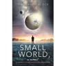 Small World, a novel: The true story of a fictional person's triumph over agoraphobia