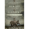Naming the Elephant: Worldview as a Concept