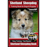 Shetland Sheepdog Training Book for Dogs & Puppies By BoneUP DOG Training: Are You Ready to Bone Up? Easy Training * Fast Results, Sheltand Sheepdog B