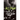 Jazz People PB