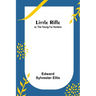 Little Rifle; or, The Young Fur Hunters