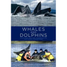 Whales and Dolphins: Cognition, Culture, Conservation and Human Perceptions