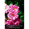 The Practice Of Mental Prayer: Extraordinary Prayer