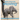 Baby Animals Moving