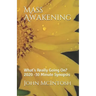 Mass Awakening: What's Really Going On? 2020 -30 Minute Synopsis