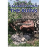 Salvaged from the Ruins: A Novel of 1945
