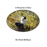 A Friend For A Nene
