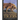 Saber-Toothed Tigers: The History and Legacy of the Most Famous Extinct Cat Species