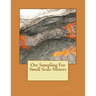 Ore Sampling For Small Scale Miners
