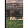 Imtheachta Æniasa. The Irish Æneid; Being a Translation, Made Before A.D. 1400, of the XII Books of Vergil's Ænid Into Gaelic; v.6