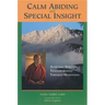 Calm Abiding and Special Insight: Achieving Spiritual Transformation Through Meditation