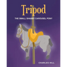 Tripod: The Small Shabby Carousel Pony