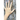 Eve