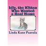 Lily, The Kitten Who Wanted a Real Home