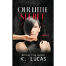 Our Little Secret: A Novella