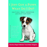 I Just Got a Puppy.: What Do I Do?