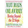 Many Roads One Journey: Moving Beyond the Twelve Steps