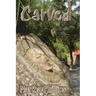 Carved