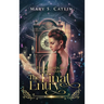 The Final Entry (The Haighdlen Chronicles, Book 3)