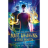 Mage Assassins & Other Misfits