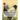 Brahma Chickens: From The Book of Poultry