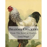 Brahma Chickens: From The Book of Poultry
