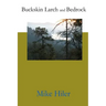 Buckskin Larch and Bedrock