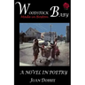 Woodstock Baby: A Novel in Poetry