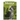 The Manager as Mentor
