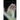 The Invisible Hand