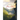 Overcoming the Mountains