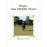 Magic One SMART Horse