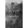 Sad Birds Still Sing