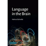 Language in the Brain